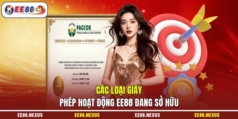 Các loại giấy phép hoạt động EE88 đang sở hữu