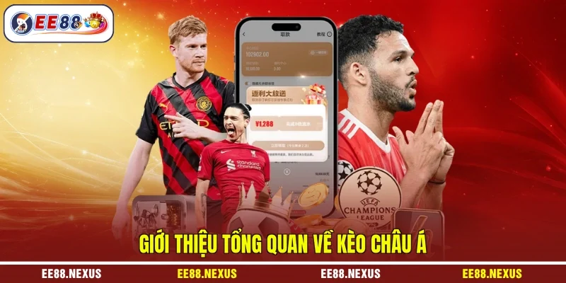 Giới thiệu tổng quan về kèo châu Á